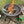 FireDragon Firelighter Liquid Fire Lighter 1L - firedragon, firelighter, wood wool. FireDragon by FireFly Barbecue