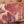 Beef flat ribs Jacob's Ladder
