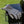 Pit Boss Heat & Water Resistant BBQ Gloves