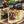 Barbecue sauce bottle with grilled meat and vegetables