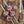 Petromax Stainless Steel Barbecue Skewers