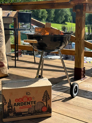 Kiln-Dried Beech Logs for Pizza Ovens & Grilling - 10kg Box