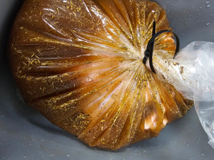 Raw poultry soaking in seasoned brine inside a sealed vacuum bag from the Firefly BBQ Bird Brining Kit for flavor-packed results.