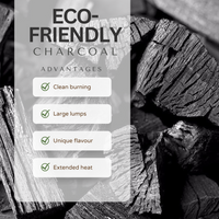 Eco-friendly charcoal infographic with large lump pieces and extended heat