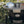 Monolith Stainless Steel Closhe
