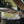 Monolith Rotisserie for Monolith .66 LeChef