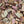 Pimento Wood Chunks 1kg for Smoking and Jerk