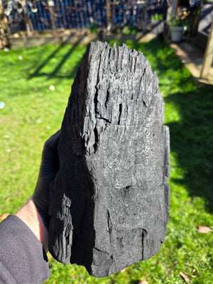 Charcoal pieces in open bag with green grass background, outdoor setting