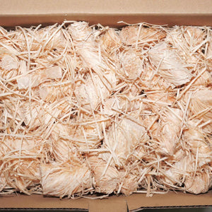 Wood Wool Firelighters - 200pcs